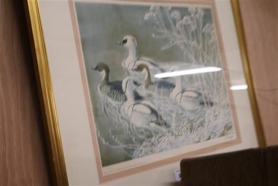 Charles Frederick Tunnicliffe Ducks on the water 16 x 20in.